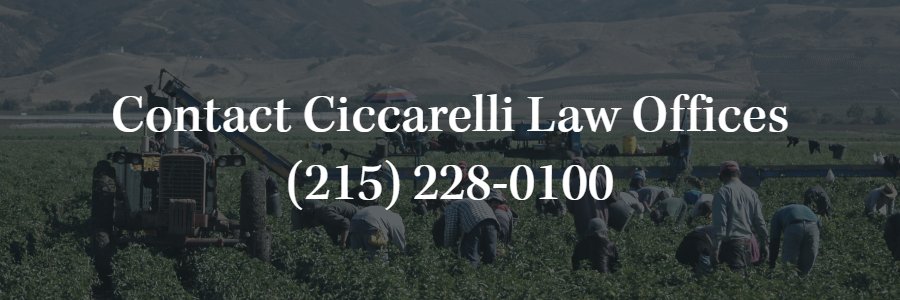 Contact Ciccarelli Law Offices 