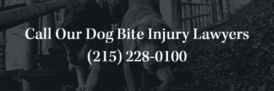 Philadelphia Dog Bite Injury Attorneys