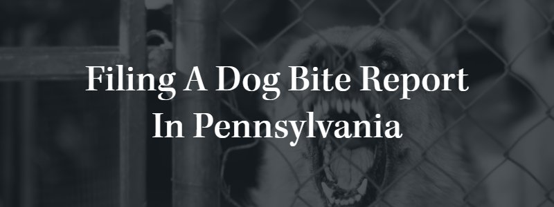 dog bite report pennsylvania