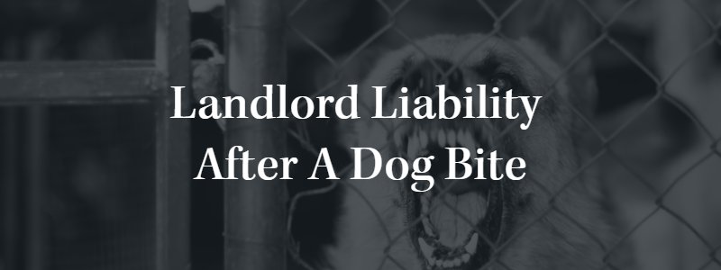 Landlord Liability After a Dog Bite