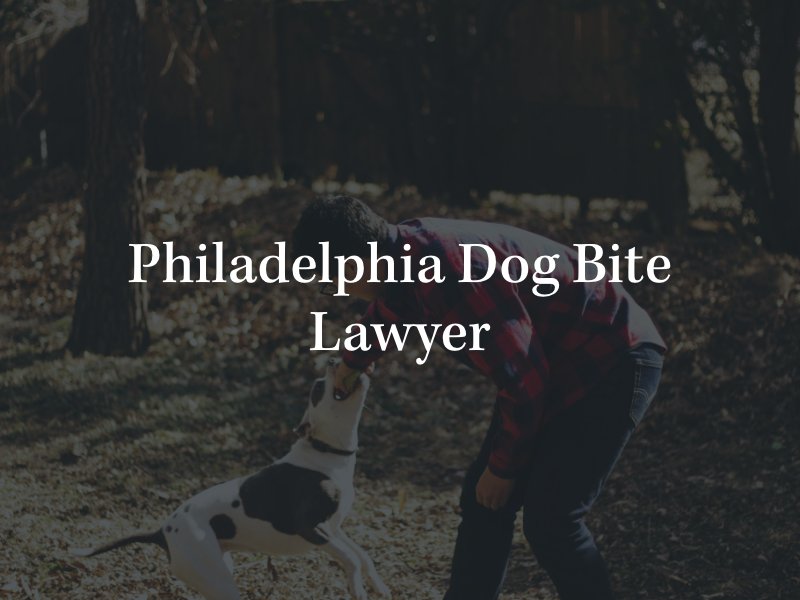 Philadelphia dog bite lawyer 